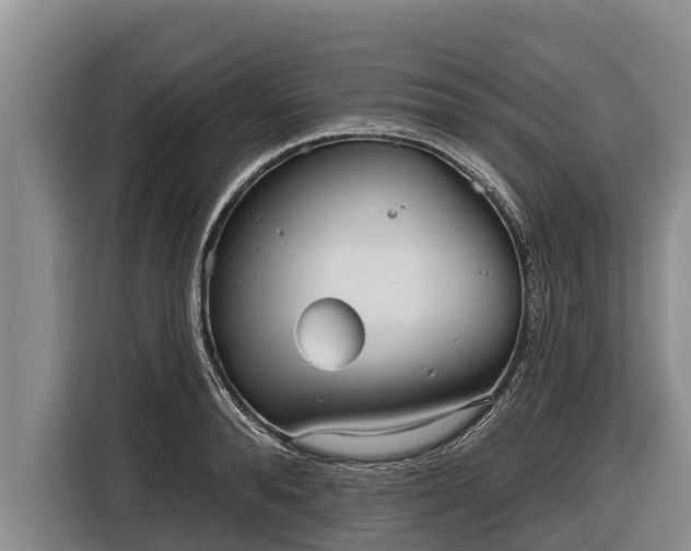 X0000116810896200912241219