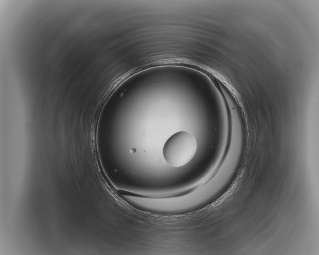 X0000116810897200912241219