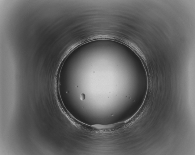 X0000116810898200912241218