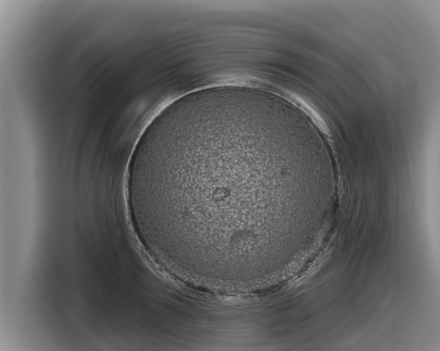 X0000116810899200912241218