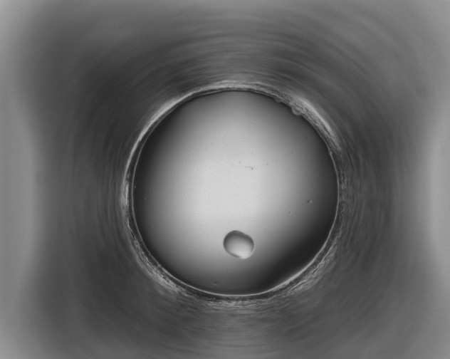 X0000116810900200912241218