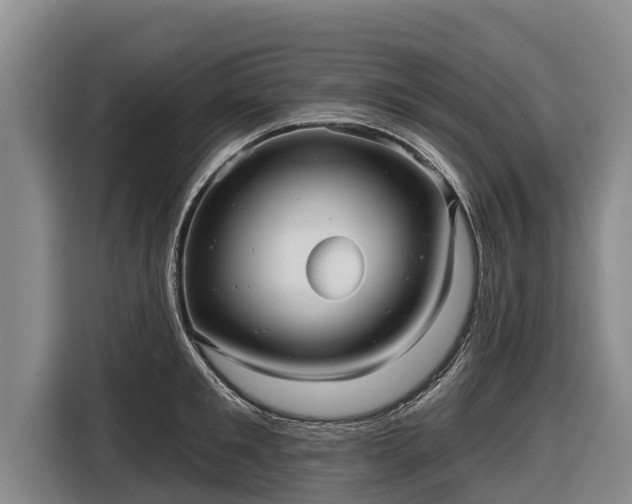 X0000116810901200912241218