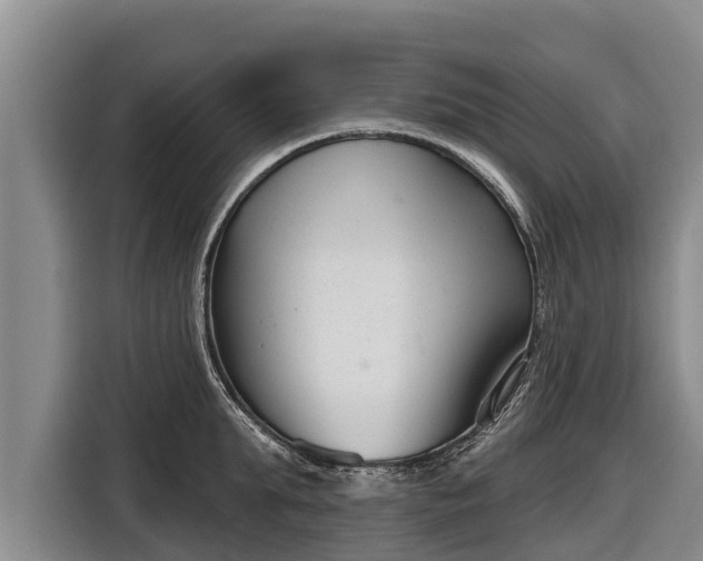 X0000116810903200912241218