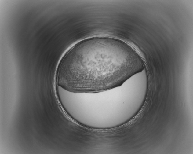 X0000116810904200912241218