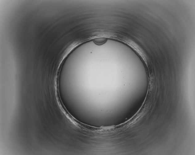 X0000116810906200912241218