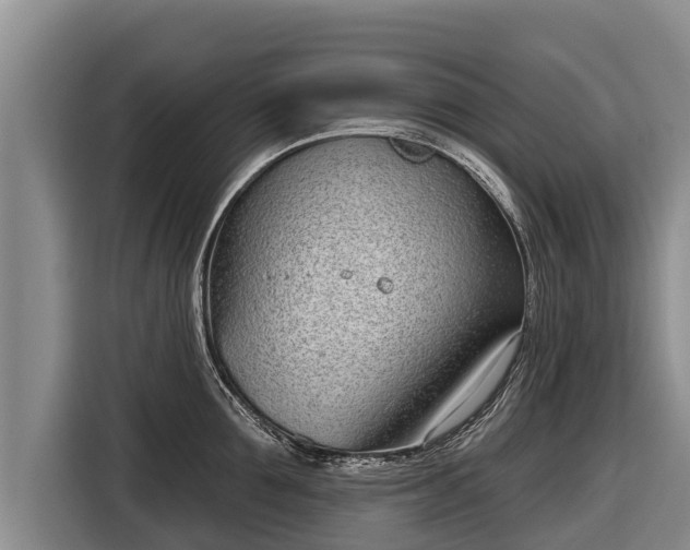 X0000116810907200912241218