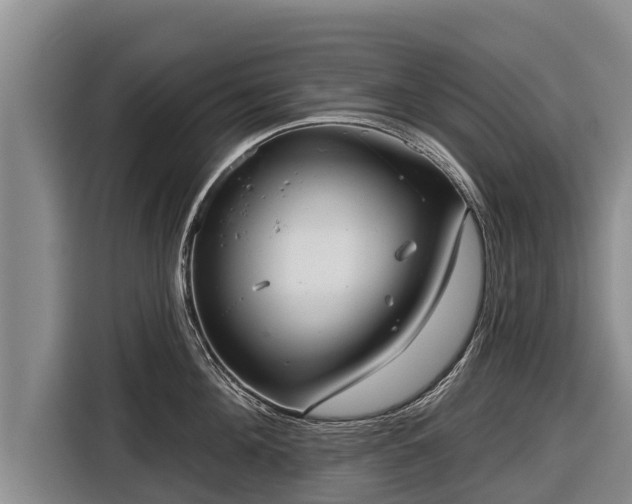 X0000116810908200912241218