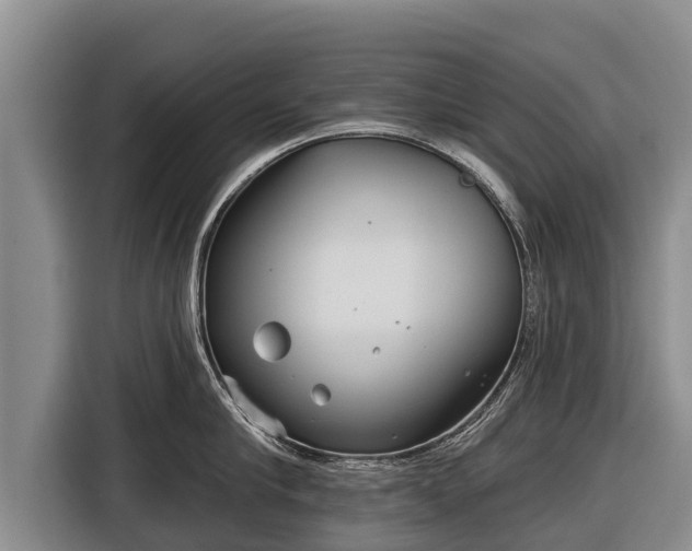 X0000116810910200912241218