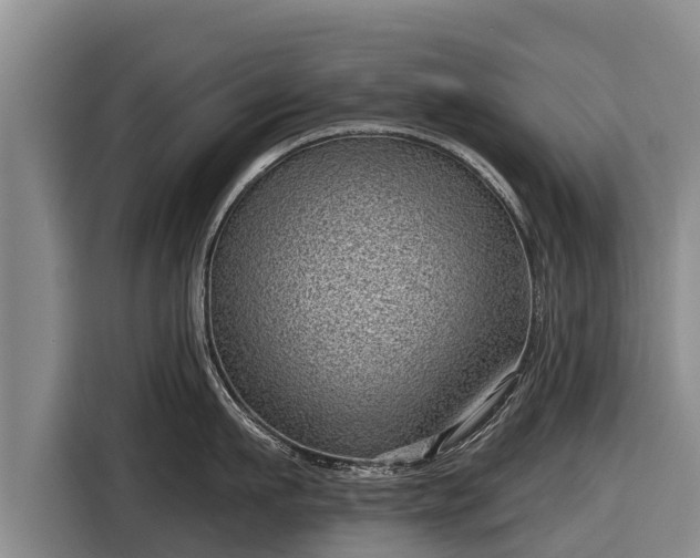 X0000116810911200912241218