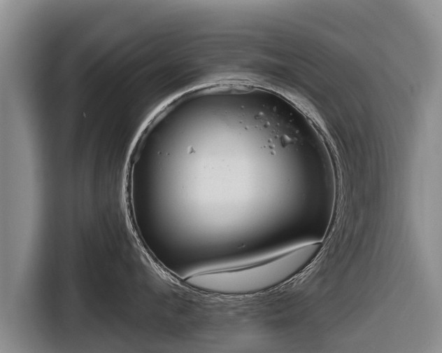 X0000116810912200912241218