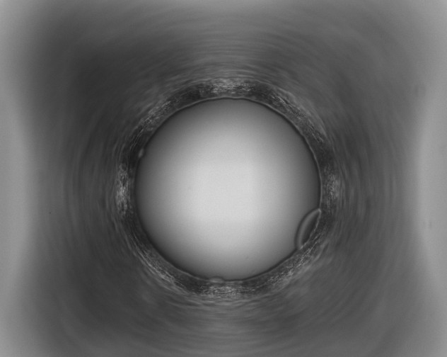 X0000116810914200912241218