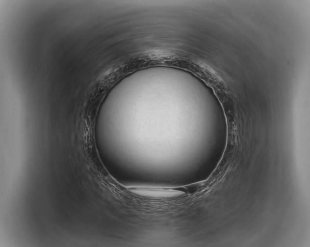 X0000116810917200912241218