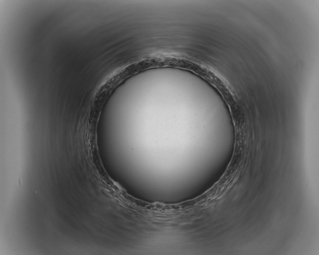 X0000116810919200912241218