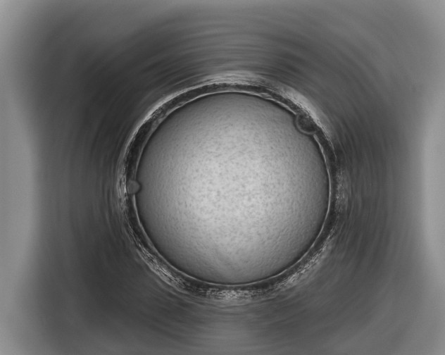 X0000116810923200912241218