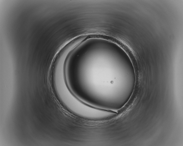 X0000116810925200912241218