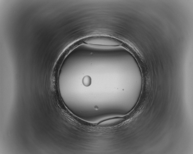 X0000116810926200912241218