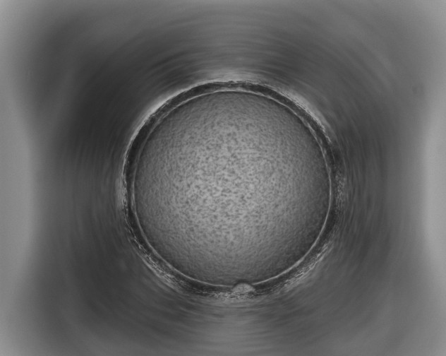 X0000116810927200912241218