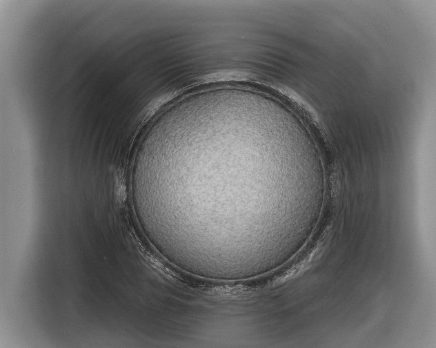 X0000116810929200912241218