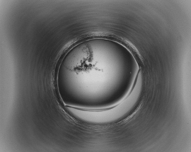 X0000116810930200912241218