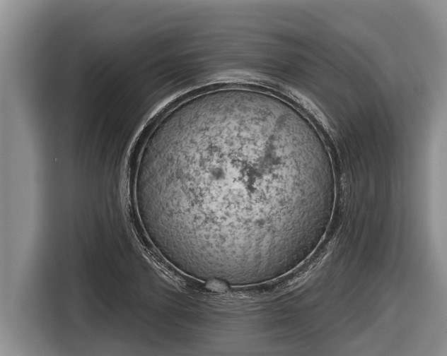 X0000116810931200912241218