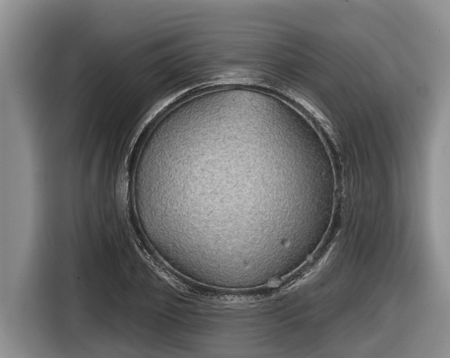 X0000116810933200912241218