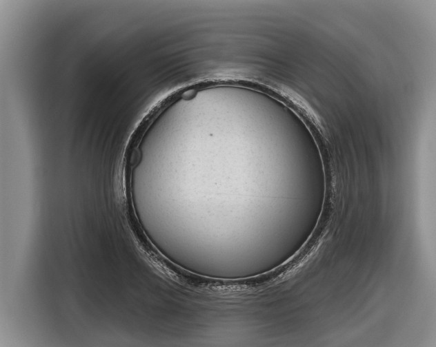 X0000116810934200912241218