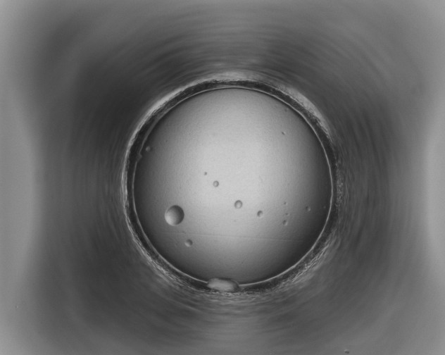 X0000116810935200912241218