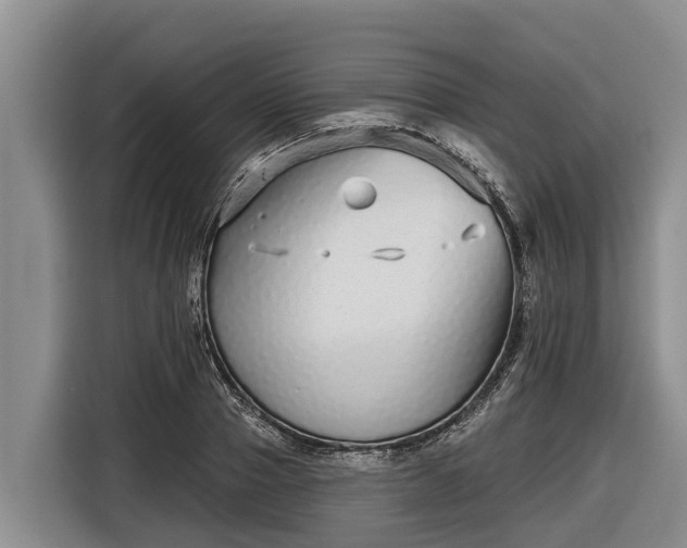 X0000116810937200912241218