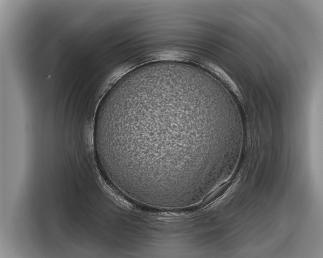 X0000116810938200912241218