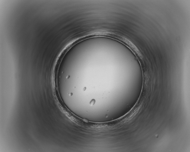 X0000116810939200912241218