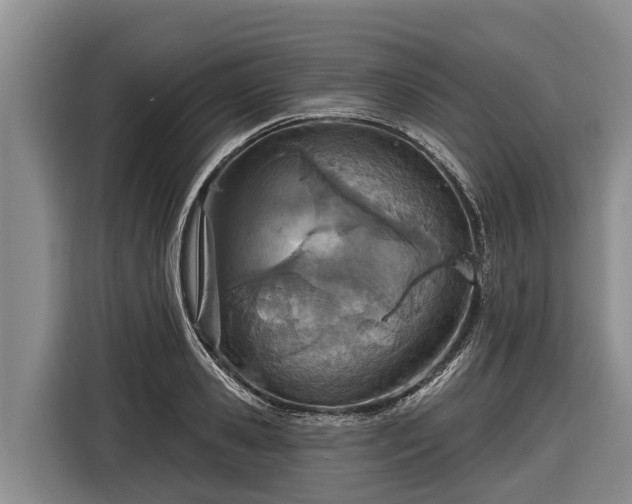 X0000116810941200912241218