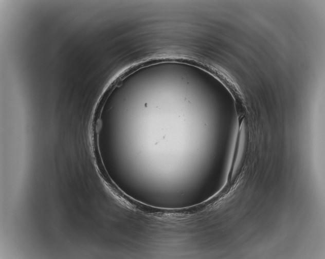 X0000116810942200912241218