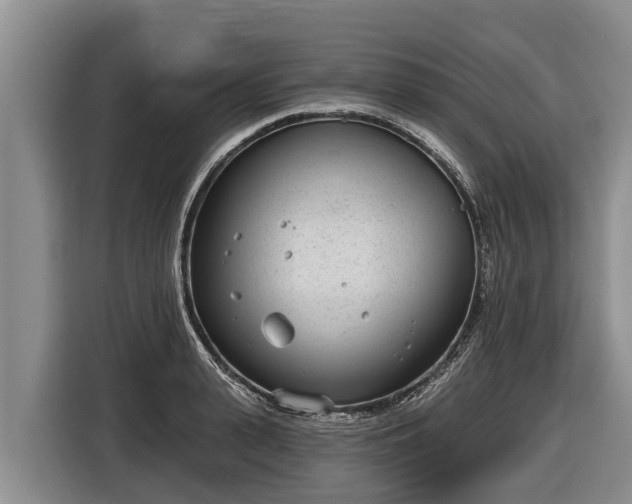 X0000116810943200912241218