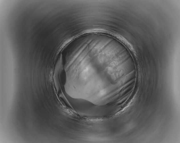 X0000116810945200912241218