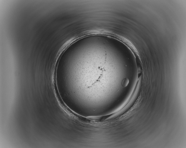 X0000116810946200912241218