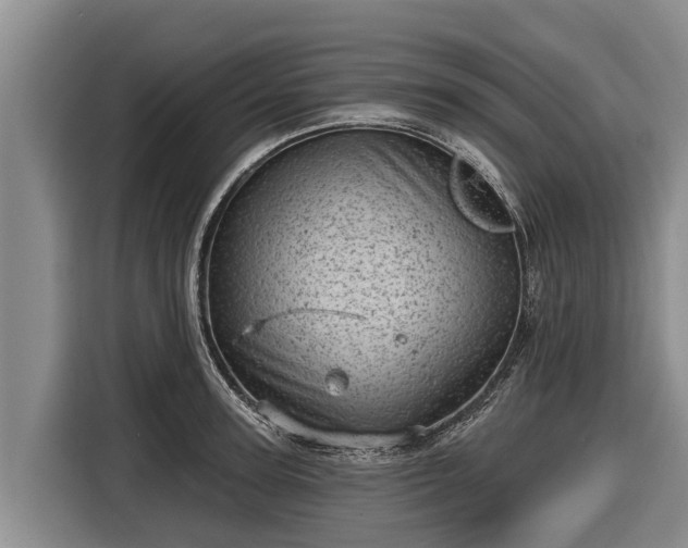 X0000116810947200912241218