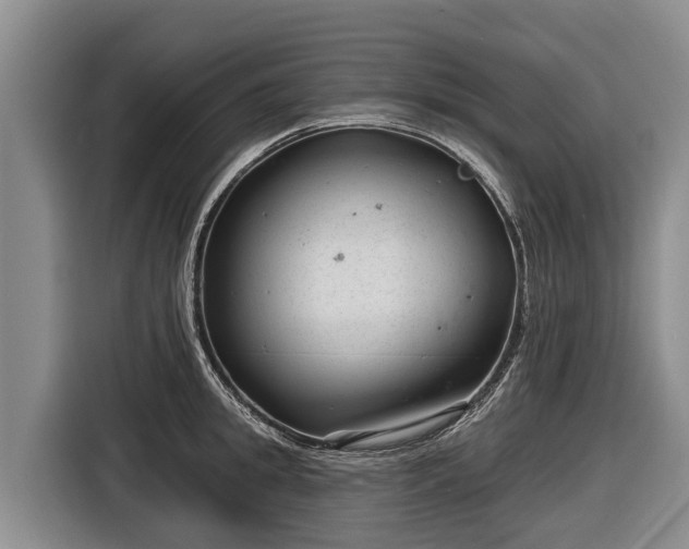 X0000116810949200912241218