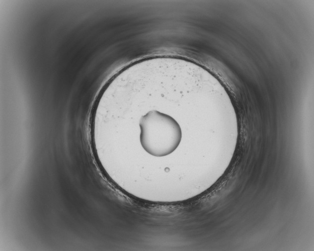 X0000116810950200912241218