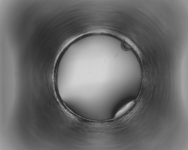 X0000116810951200912241218