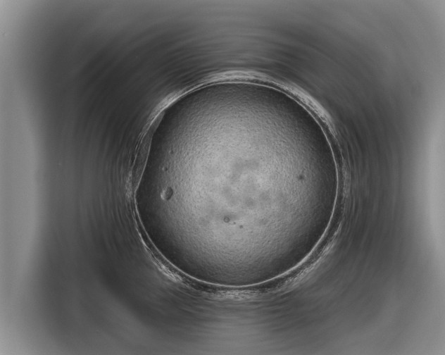 X0000116810953200912241218