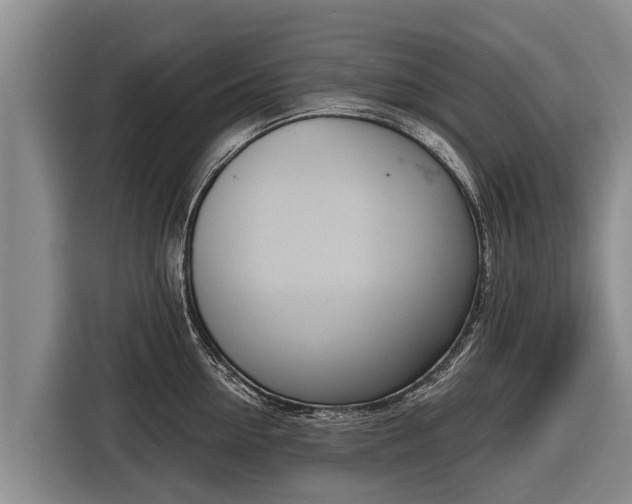 X0000116810954200912241218