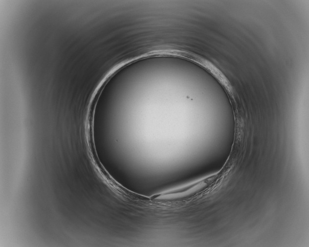 X0000116810955200912241218