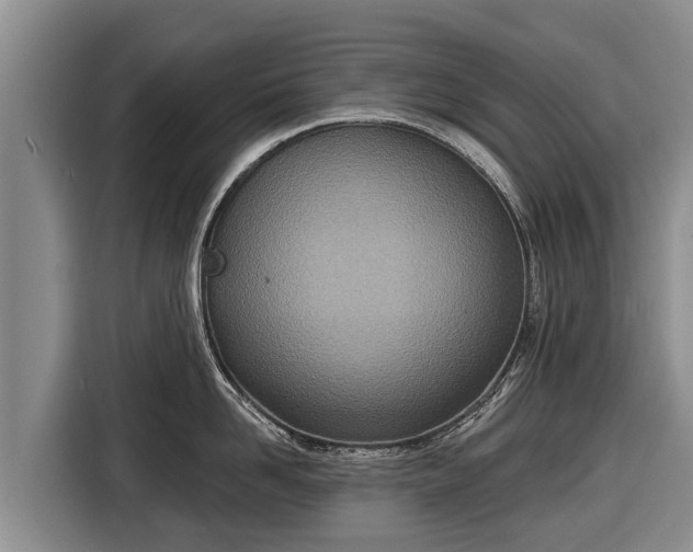 X0000116810958200912241218