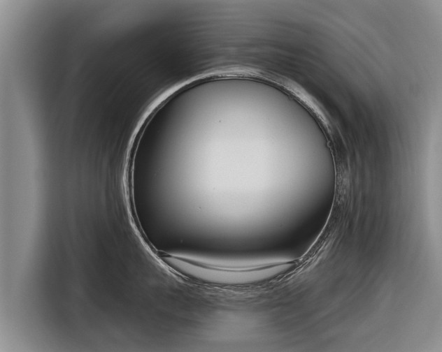 X0000116810959200912241218