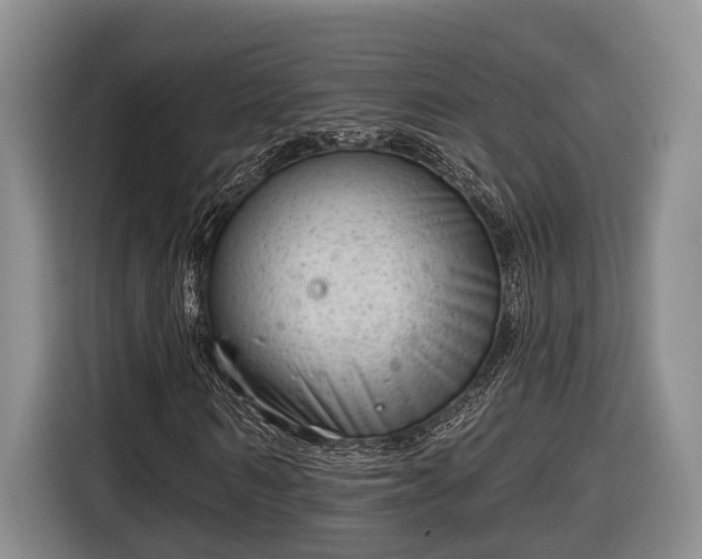 X0000116810962200912241218