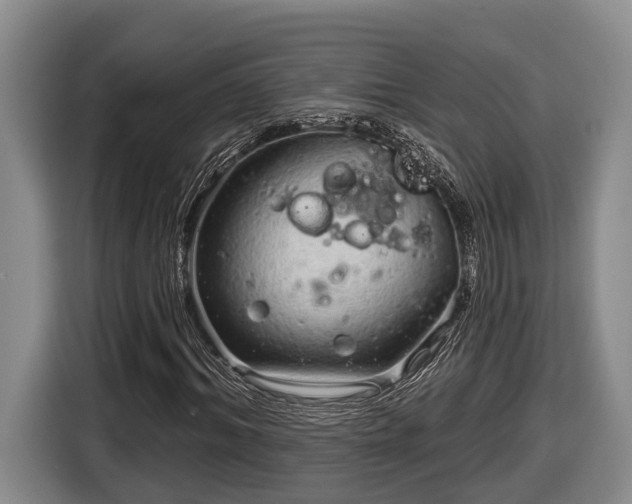 X0000116810964200912241218