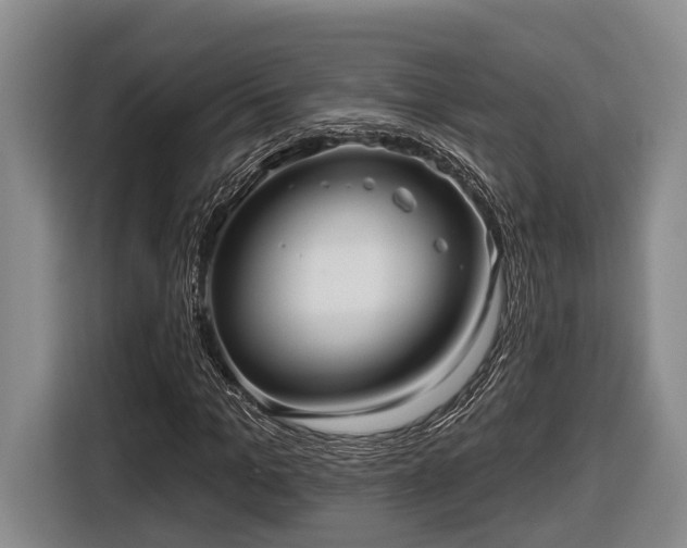 X0000116810965200912241218