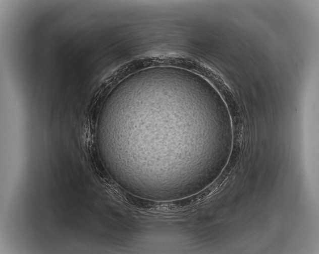 X0000116810966200912241218