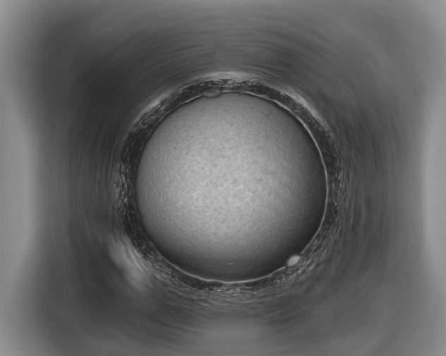 X0000116810967200912241218