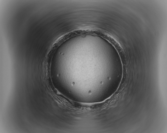 X0000116810968200912241218